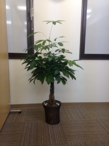 20150928minamirinkan